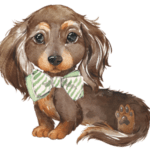 Cute dachshund puppy with a green striped bow tie.