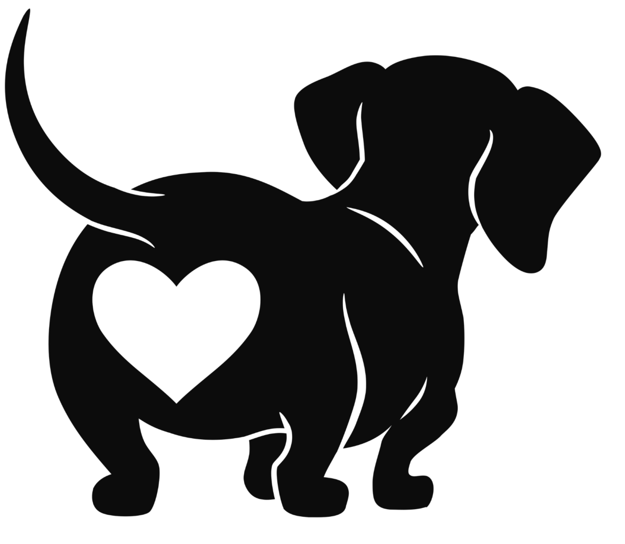 dachshunds.png_1678302704